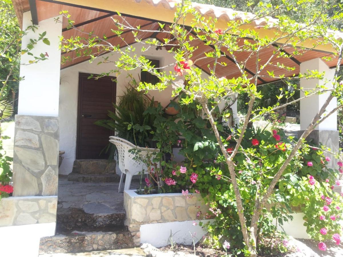 Villa Casa El Cerro El Bosque Exterior foto